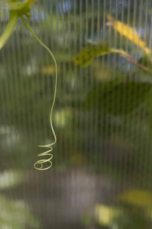 How can real estate investment trusts (REITs) adapt to changing market conditions for sustained growth?