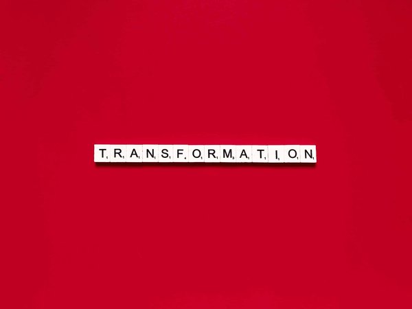 How Can Sous Vide Cooking Transform Your Home-Cooked Seafood Dishes?